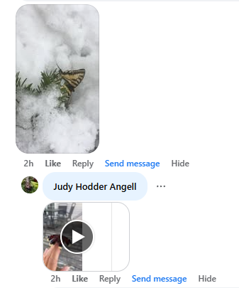 Judy Angell's miracle story, shared with me in March 2026.